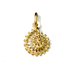 Dije Concha Marina Oro 18k OM-20254